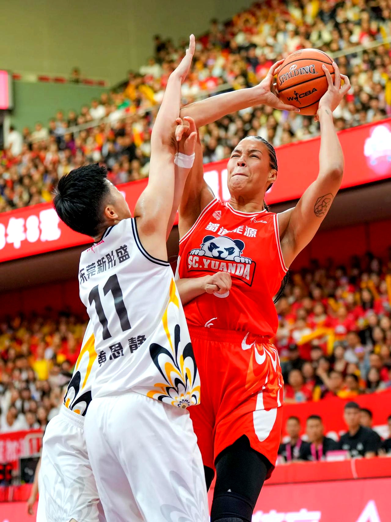 篮网主场破篮板纪录，再次展现攻击力的简单介绍